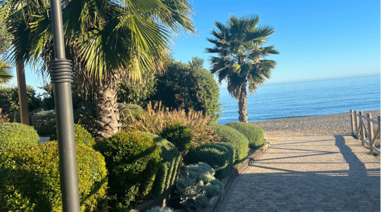 Estepona czy Marbella? Wybierz najlepsze miejsce na kobiecy wyjazd rozwojowy