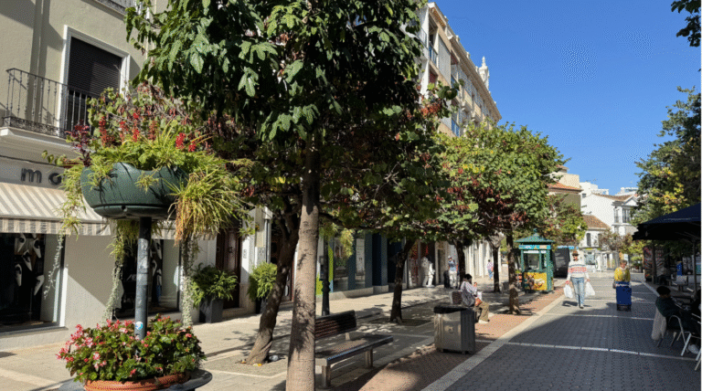 Szkolenie social media za granicą – praktyka, wiedza i komfort